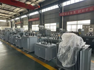 10/0.4KV 250KVA Three Phase 60Hz Oil Immersed Customization High Voltage Power Transformer