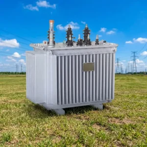 100-160 160KVA 200KVA 250KVA 315KVA Three Phase Oil Immersed Transformer 380V/220V 11kV/15kV ONAN Cooling IEC Standard