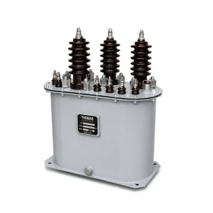 10kV Oil-Immersed Voltage Transformer JSJW-10 for Metering and Protection Project Specification