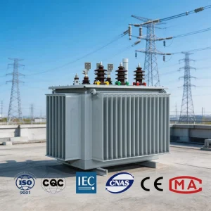 11kV 100kVA Small Capacity Step Down Oil Immersed Distribution Transformer for Rural Power