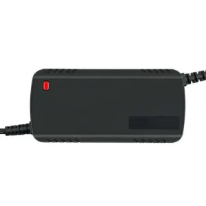 12.6V 2A Lithium Battery Charger 12V Battery Charger Lithium Car Charger Battery