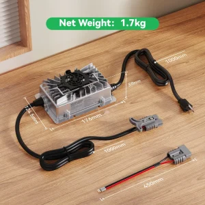 12V 15A 25A DC AC Fast Lithium Ion Battery Charger for Electric Boat