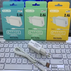 12W 2.4A USB Charger with USB-C and Micro USB Support, EU Standard Plug