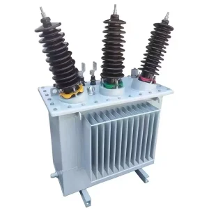 12kV 24kV 500kVA Three Phase Oil Immersed Distribution Transformer S11 S13 50Hz Layer Coil Outdoor Transformer