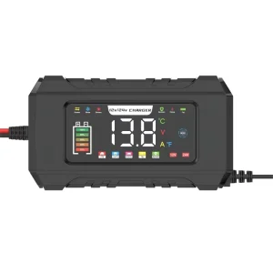 12v 24v Temperature Protection Lead Acid Battery Charger LiFePO4