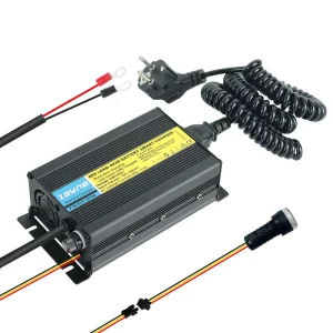 14.6V 10A 29.2V 43.8V 58.4V 3A 73V LiFePo4 Battery Built in Charger for Electric Equipment Small Mobility Scooter