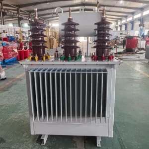 150 500 Kva High Voltage 3-Phase Electric Oil Immersed Transformer 50Hz 6KV Input Continuous