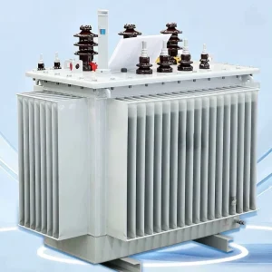 2000kVA Oil Immersed Transformer for Mining Area Medium Voltage Power Distribution System