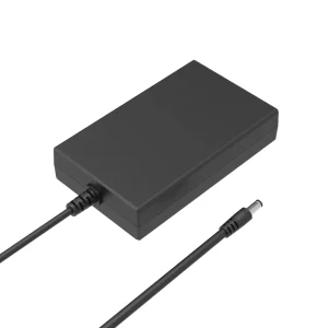 200W THEONE Fast Charger Desktop Charger DC12V 48V AC DC POWER ADAPTER