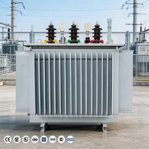 20kV 1250kVA Oil Immersed Transformer Distribution Transformer