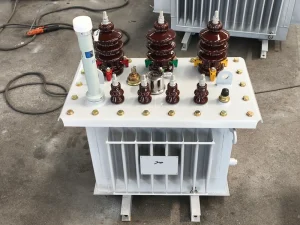 20kva 30kva 80kva Factory Price Oil-filled Three-phase Distribution Transformer