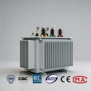 22kv 1250kva Outdoor Type for Electrical Distributor Oil Immersed Transformer Distribution Transformer