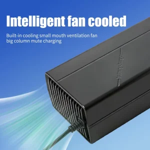 24V3A 60W Lithium Battery Charger for Electric Bicycle Scooter & Vehicle Polymer Lithium Iron Phosphat 6s