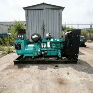 250KW 312.5KVA 3 Phase 60hz Open Frame Diesel Generator Set Euro III Strong Overload for Mine and Large Factory Main Power