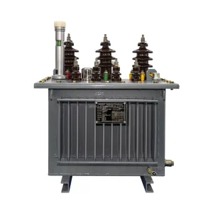 30KV 33KV High Medium Voltage Transformer 30KVA-100KVA Customizable Aluminum Wire Winding