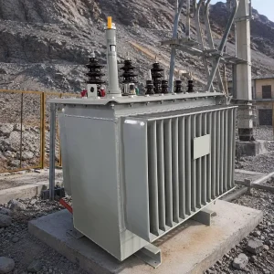 33kV Oil Immersed Power Transformer 1000kVA 2500kVA Three Phase Distribution Transformer Supplier