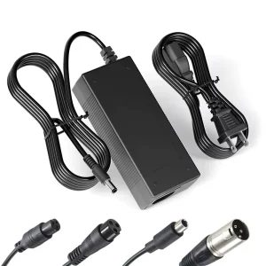 36V /42V /54.6V2A CE /ROHS Power Supply Electric Bike 84W Lithium Battery Charger DC5.5 2.5MM/RCA/XLR/GX12-3/GX16-3/IEC Plug