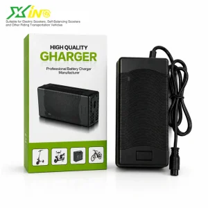 42V Electric Mobility Charger Scooter E Bike Lithium Battery Multi Protection Fireproof Custom Connector OEM ODM