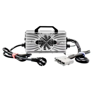 48V 25A Fast Electric Vehicles Charger IP67 for Li-ion Batteries Lead Acid Lifepo4 Charger with CE Certified