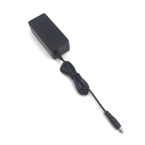 48W 12V 4A 24V 2A Adaptor Switching Power Supply 24V2A AC DC Power Adapters