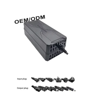 48v Charger Output 54.6v2a 110v Lifepo4 NMC Battery Charger for Ev Scooter ebike