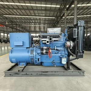 50/60Hz Custom Frequency Open Diesel Generator Three Phase Optional for Commercial Building Standby Power