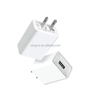 5V 2A 10W Micro USB and USB-C Travel Wall Charger