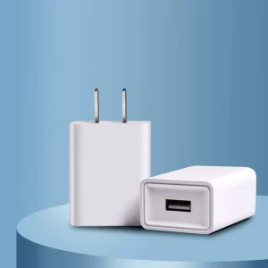 5V2A US & EU 10W USB Wall Charger Travel Adapter