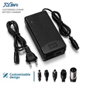 60V Electric Scooter E-Bike Charger CE/FCC Certified Lithium Battery Custom Plug OEM ODM Factory Supply Service