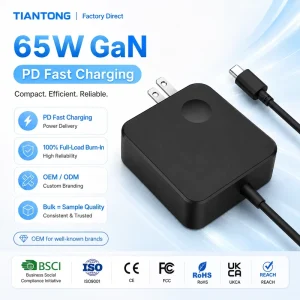 65W/100W USB-C GaN PD Fast Charger, Universal Laptop Power Adapter, Wall Charger for Phones and Laptops
