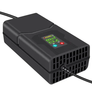 87.6V 2 8A 2 10A 2 15A 2 20A 2 25A 2 27A 24 series Lithium Iron Phosphate Adjustable 72V Lithium Battery Charger Fast Charge