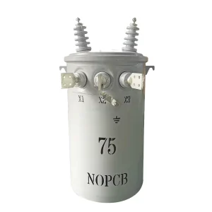 ANSI Standard 13.2kV 7.62kV Dual Voltage Single Phase Pole Mounted Oil-Immersed Transformer for Distribution System