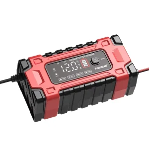 Battery Charger 12V 10A 24V 5A Automatic Deep Cycle Heavy Duty Truck Motorcycle Car Pulse Repair Battery Charger