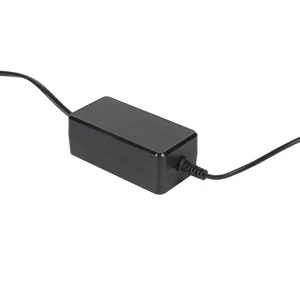 CE FCC UKCA SAA Listed 24V 3A Desktop Power Supply 72W AC DC Charger Adapter With Two Cables