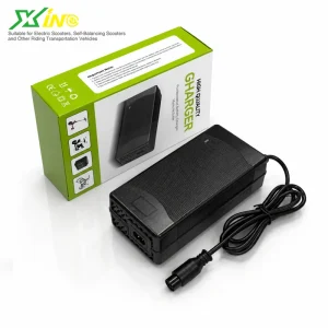 Custom 36V42V48V60V Electric Scooter Battery Charger for E Bike Lithium Pack Stable Charging Factory Direct OEM ODM Supplier