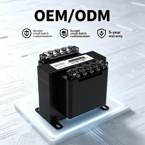 Custom Made BK Enclosed Toroidal Auto Transformer 220V to 220V Single Phase Power Transformer Small Batch OEM ODM Factory Price