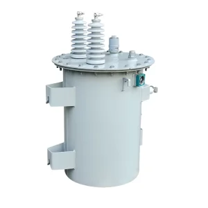 Customizable D11 Single Phase 220V Oil Immersed ONAN MV&HV Transformers 50Hz 60Hz Output Voltage 3KV 6KV
