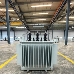 Customizable Voltage Boost Reduction Three Phase Oil Immersed Transformer S11 M Model High Efficiency 0.98 Manufacturer