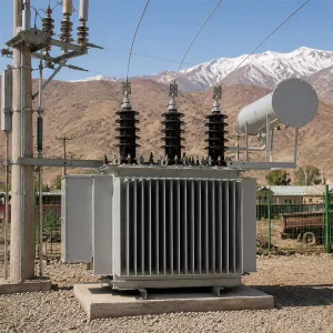 Customized 6kV 10kV 20kV Oil Immersed Electrical Transformer TMG Type for Central Asia Construction & Infrastructure