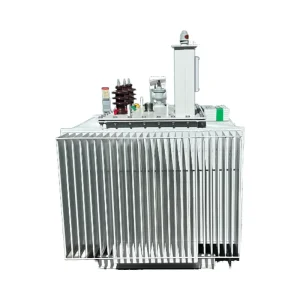 Customized S11 Oil Immersed Power Transformer 100V Three Phase Medium High Voltage Copper MV&HV