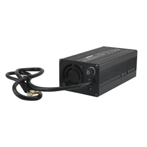 DL 60V 5A Plug In Lithium Ion Battery Charger 400W for Electric Scooter Industrial Professional Use