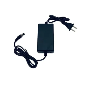 Direct Sales Customizable 60W AC DC Power Adapter 12V 5A Factory Price Direct Connected 100 240V Power Supplies Accessories