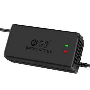 Dual lamp Lithium Battery Charger Lithium Iron Phosphate Ternary Lithium Battery 48V 5A 6A 58.8V
