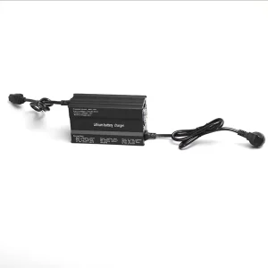 EV Kart 72V 10A Lithium Ion Battery Charger 20S Li Ion Pack Output 84V Adjustable Voltage Smart Charger