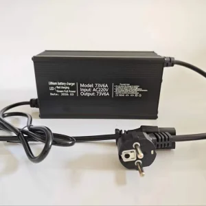 Electric Lithium Battery Charger 14.6V 29.2V 42V43.8V 54.6V58.4V 71.4V73V 84V87.6V 15 25A Lifepo4 Lead Acid Fast Charger