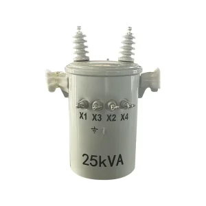 Electricity Transformer 10kVA Transformer 15kVA-37.5kVA 13.8kV 120/240V High Frequency 50/60Hz Pole Mounted Coil Shape