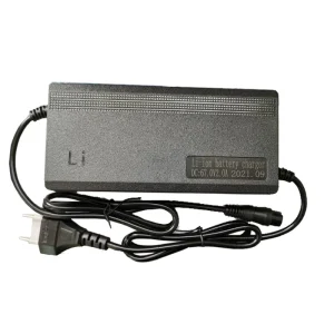 Factory 10cells 36V 42V 2A 3A 5A Portable Smart Lithium Ion Lifepo4 Battery Charger Electric Bike Battery Charger