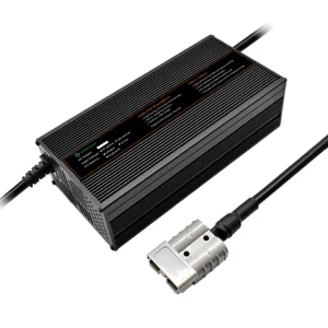 Factory Customised 1500W Lithium Battery Charger 16.8V 30A 12V 24V for E Bike and Scooter CE and PSE Optional