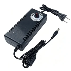 Factory High Quality 12V 24V 5A 50 60HZ EU US Plug Adjustable Switching Power Adapter for Motor LED Strip Fan