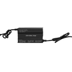 Fast Charging 10A Portable Aluminum 16S LiFePO4 Lithium ion Battery Charger 67.2V Output CE Certified